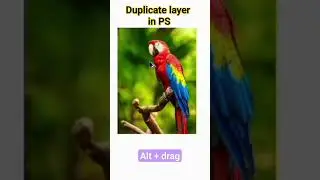 How to make #duplicate layer in #Photoshop| Basic Tools|beginner|#shorts