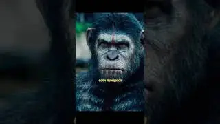 Обезьяны в ярости #топ #фильмы #respect #shorts