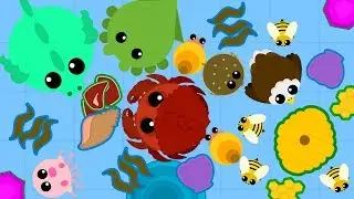 MOPE.IO ПАУЧОК ЛОВИТ РЫБКУ И САМОПОЖЕРТВОВАНИЕ КРАБИКА АСГАРДИКА ИГРА MOPE IO
