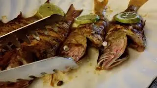 Great Fishing in the Maldives. Look, What We Caught!