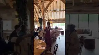 Wedding Breakfast performed by Elena | Female Electric & Acoustic Violinist