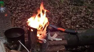 Осенняя прогулка в сыром лесу .