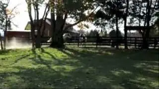 Aurora Acres Nova
