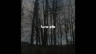 New aSs by Penelope Scott