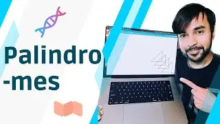 Palindromes | Valid Palindrome | Simplified with visuals and animations | Sample problems