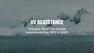 Champion Strut™ Fights Corrosion