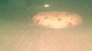 The growing cake