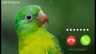 realme mobile caller tune realme SMS ringtone #ringtone #loveringtone official ringtone #realme tone