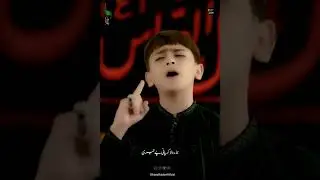 Syedi Tera Alam | Sibtain Haider | Noha 2023 #sibtainhaider #noha #syediteraalam #muharram #shorts