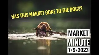 Has This Market Gone to the Dogs?    -  Market Minute 9 July 2023