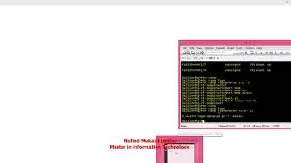 gns3 inter vlan configuration