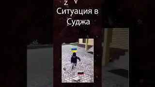 Вся правда о ситуации в Суджа