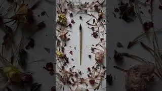 Эти кисти ищут своего художника 💔