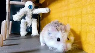 MAJOR HAMSTER vs ZOMBIES and HAMSTER MAZE with TRAPS stories 