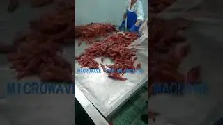 Frozen sea food thawing machine? Frozen Shrimp  Microwave Defrosting Machine| Frozen Meat thawing