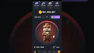 11th September Hamster Combat Daily Cipher Today