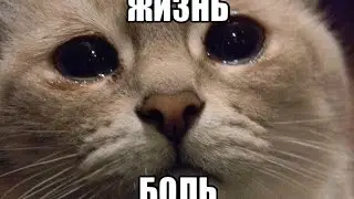 Trove: ЖИЗНЬ,БОЛЬ(