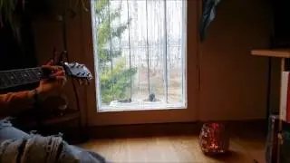 Songbird (singing for the little birds outside my window)...