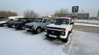 Нивы стоят, за такие цены не берут