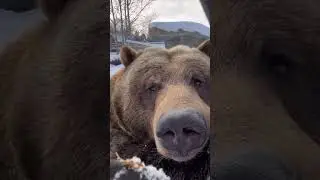 ШОК !!!умора😂😂😂