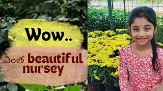 అనగనగా ఒక రోజు Nursery lo సరదాగా...