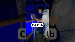 I Built A Night Club For My Cat!