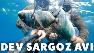 ÖNCE AVLADIK SONRA YEDİK  - YAKALA PİŞİR YE - Zıpkınla Balık Avı Vlog - 23