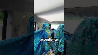 Everyone Has Their Own Base in the Car!😍