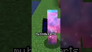 Minecraft, But I Am Indestructible...