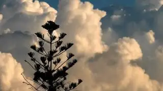 mister cloud