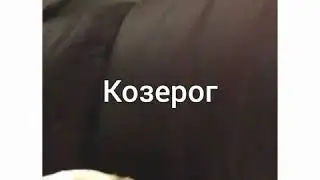 Знаки зодиака в мемах