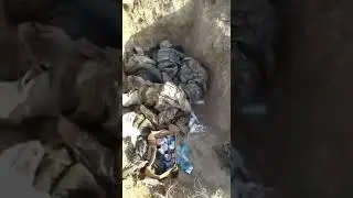 #армения