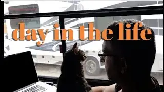 What Working Remotely In An RV With A Cat Looks Like