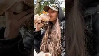 Carpathian porcini mushrooms 🍄‍🟫🍄‍🟫🍄‍🟫Looks like it’s going to be porcini risotto for dinner