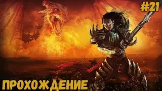 АЛЕРОТ | Divinity II: Кровь драконов #21