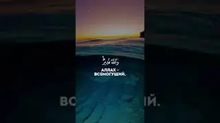 29 декабря 2023 г.