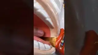 This Horse Ate My Finger😱