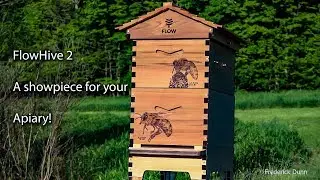 The Flow Hive 2 Bee Hive unboxing, How to put a Flow Hive Together step by step.
