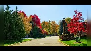 Mississauga & Brampton ONTARIO