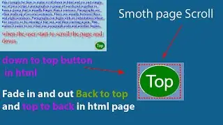Bottom To Top Button on Page Scroll using CSS and JavaScript | Create back to top button in html