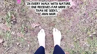 Being In #Nature Feels Like You're Being Re Charged Re Energized #ForestPark #Resellerlife #bekind