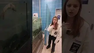 Выпустила рыбу из "Ленты" в реку 🐟