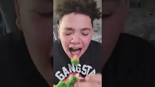 Things NOBODY would EVER do