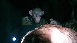 Oh No Meme | Planet of the Apes Meme