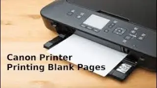 Canon g3411/g2411/g3010 solution to blank page print