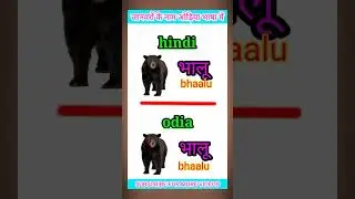 जानवरों के नाम ओड़िया भाषा में पार्ट - 2 || hindi to odia || odia hindi sikhya ||