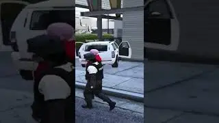 баги 