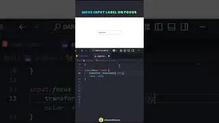 Animated Input Label on Focus using CSS | Modern Input Label Hover & Focus Animation | CodeMinds
