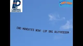 LDP  freedom flying