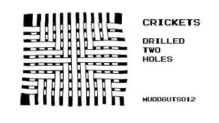 CRICKETS - DRILLED TWO HOLES